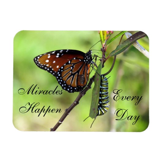 Miracles Happen Magnet Magneet (Horizontaal)