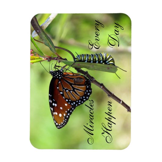 Miracles Happen Magnet Magneet (Verticaal)