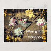 Miracles Happen Spring Blossom Inspirerend Post Briefkaart (Voorkant)