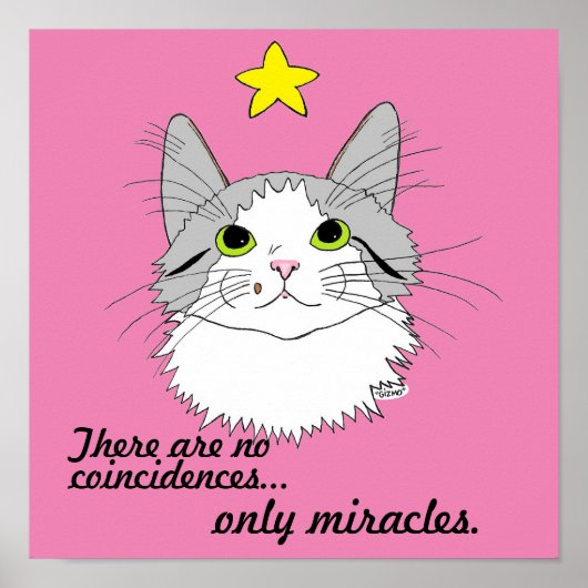 Miracles Inspirerend Gizmo's het Poster Cat (Voorkant)