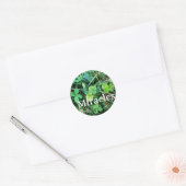 Miracles sticker (Envelop)