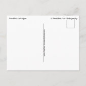 Miraculous Evening in Frankfort Light Briefkaart (Achterkant)