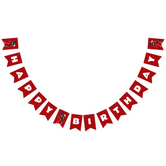 Miraculous Ladybug & Cat Noir Birthday Vlaggetjes (Alle)