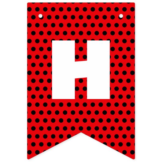 Miraculous Ladybug & Cat Noir Birthday Vlaggetjes (Tweede vlag)