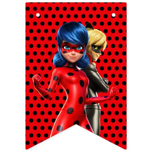 Miraculous Ladybug & Cat Noir Birthday Vlaggetjes (Eerste vlag)