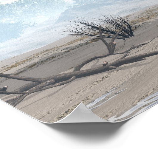 Miragaia dinosaur - 3D rendering Poster (Hoek)