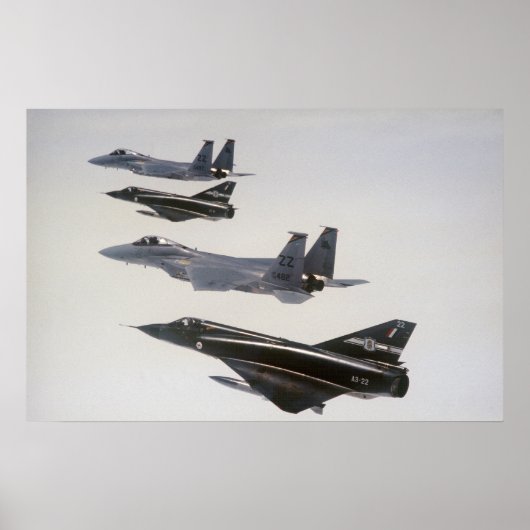 Mirage III en F-18 Hornets Poster (Voorkant)
