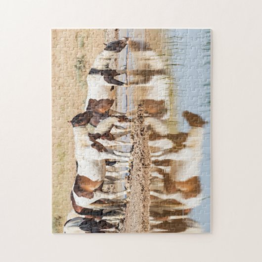 Mirage of Hope Legpuzzel (Verticaal)