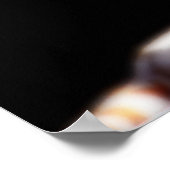 Mirage White Tiger Art Poster (Hoek)