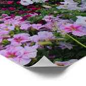 Mirakel Garden, Dubai UAE Poster (Hoek)