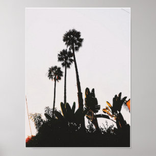 Mirakel Mile Palms Poster