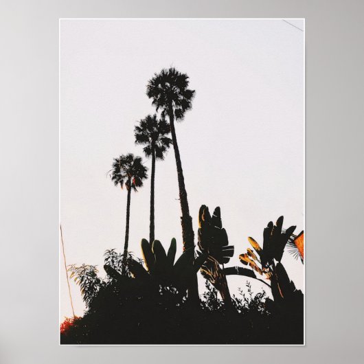 Mirakel Mile Palms Poster (Voorkant)