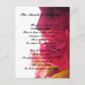 Mirakel van het briefkaart Friendship (Voorkant)