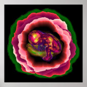 Mirakel van het leven poster (Voorkant)