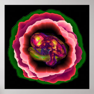 Mirakel van het leven poster