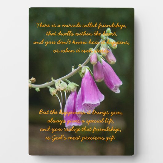 Mirakel van vriendschap fotoplaat (voorkant)