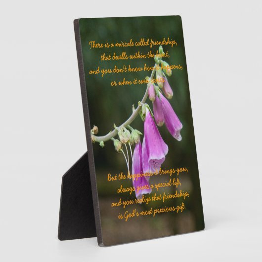 Mirakel van vriendschap fotoplaat (Zijkant)