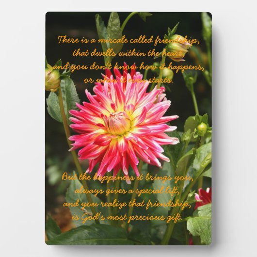 Mirakel van vriendschap fotoplaat (voorkant)