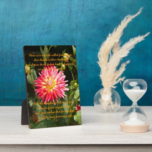 Mirakel van vriendschap fotoplaat (Zijkant)