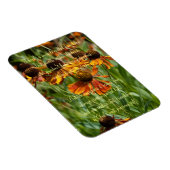 mirakel van vriendschap gedicht magneet (Rechterzijde)