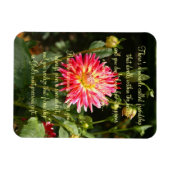 mirakel van vriendschap gedicht magneet (Horizontaal)