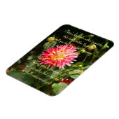 mirakel van vriendschap gedicht magneet (Linkerzijde)