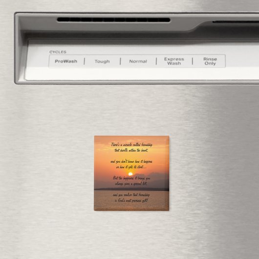 Mirakel van vriendschapsgedicht Magnet (Insitu (Vaatwasser))