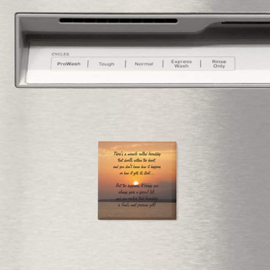 Mirakel van vriendschapsgedicht Magnet (Insitu (Vaatwasser))