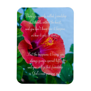 Mirakel van vriendschapsgedicht Magnet Magneet