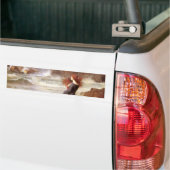 Miranda - De Tempest van John William Waterhouse Bumpersticker (Op Truck)