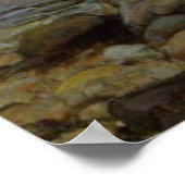 Miranda Poster (Hoek)