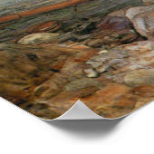 Miranda - The Tempest - John William Waterhouse Poster (Hoek)