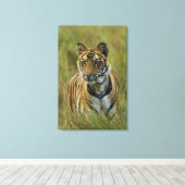 Mirchaini Cub Vrouw Tiger (Bandhavgarh, India) Canvas Afdruk (Insitu (Houten vloer))