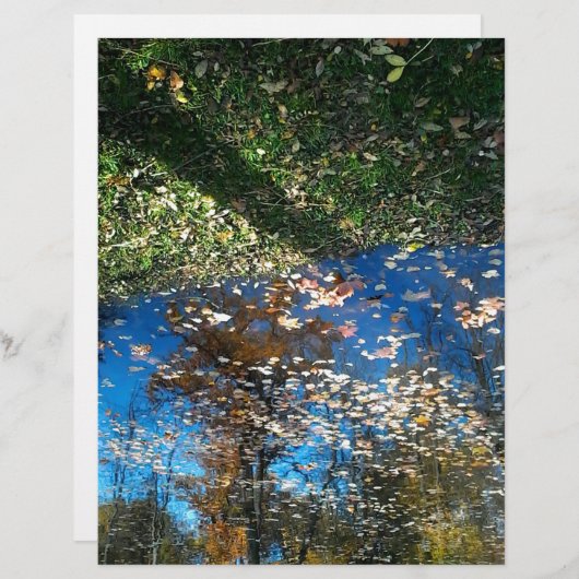 Miroir Mirror Autumn Letterhead Briefhoofd Sjabloon (Voorkant / Achterkant)