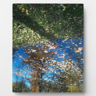 Miroir Mirror Autumn Plaque Fotoplaat