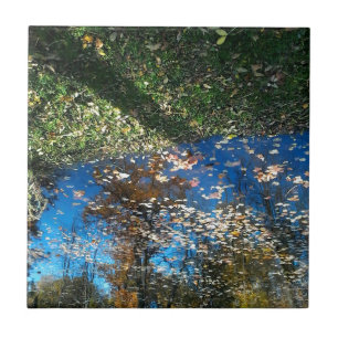 Miroir Mirror Autumn Tegel Tegeltje