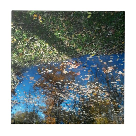 Miroir Mirror Autumn Tegel Tegeltje (Voorkant)