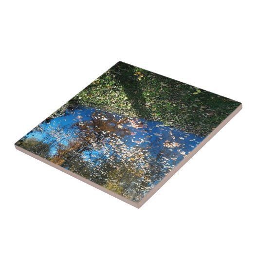 Miroir Mirror Autumn Tegel Tegeltje (Zijkant)