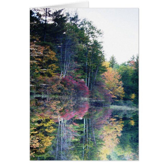 "Mirror Afbeelding" (Voorkant)