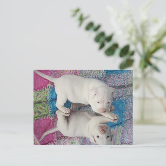 Mirror-Afbeelding Briefkaart (Staand voorkant)