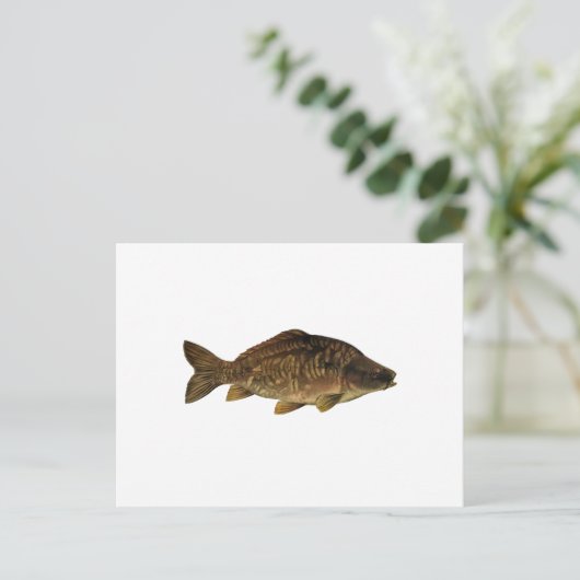 Mirror Carp Briefkaart (Staand voorkant)