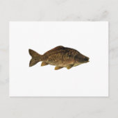 Mirror Carp Briefkaart (Voorkant)