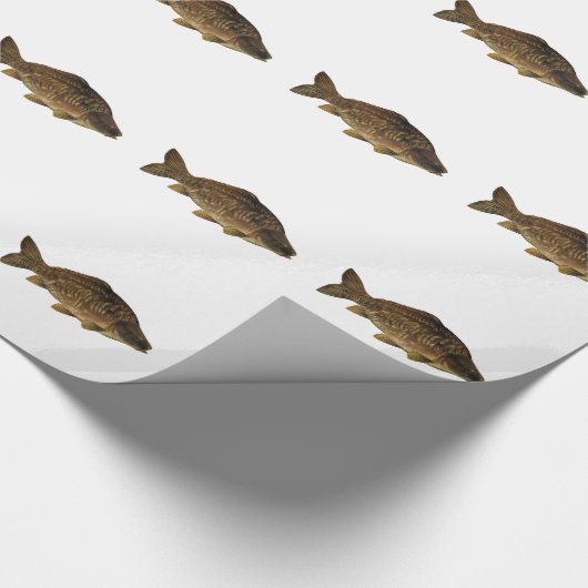 Mirror Carp Cadeaupapier (Hoek)