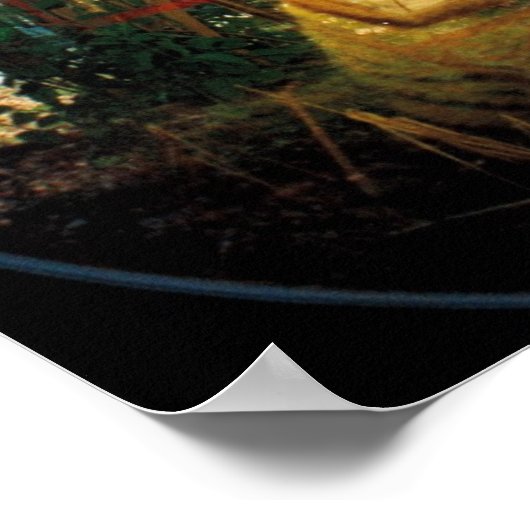 Mirror Cat Poster (Hoek)