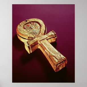 Mirror-hoesje in de vorm van een enkeling 2 poster