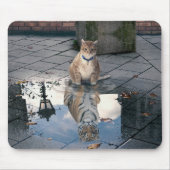 Mirror-kat Muismat (Voorkant)