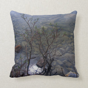 Mirror Lake 2 Pillow Kussen