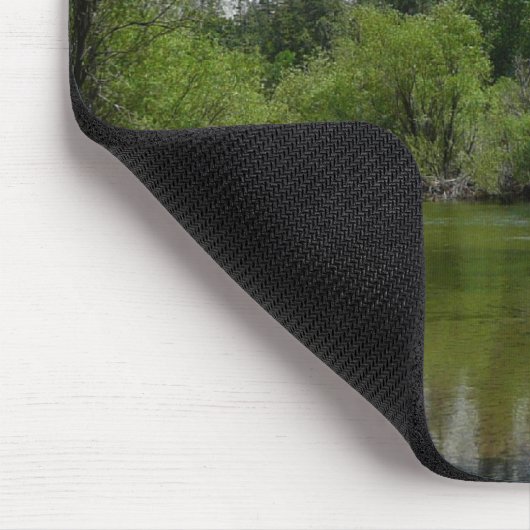 Mirror Lake I in Yosemite National Park Muismat (Hoek)