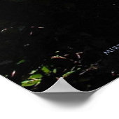 Mirror Lake, Nieuw-Zeeland Poster (Hoek)