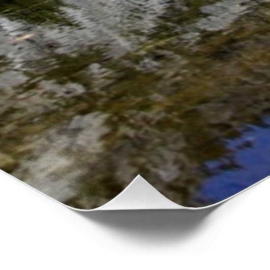 Mirror Lake Poster (Hoek)